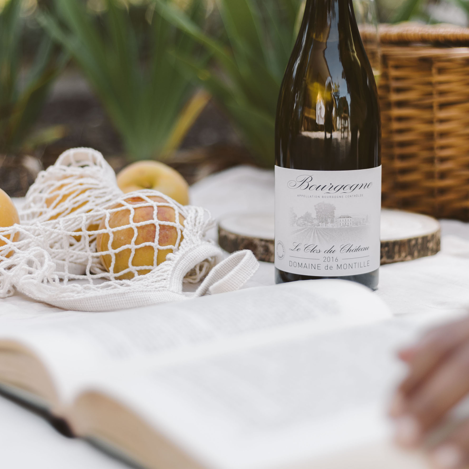 Leer más: La Chardonnay de Domaine de Montille
