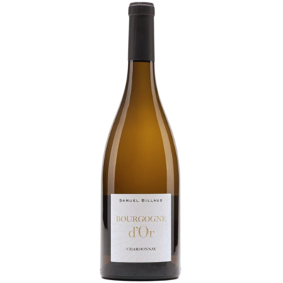 SAMUEL BILLAUD Bourgogne d'Or 2022