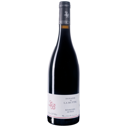 DOM. DE LA BUTTE Bourgeuil Mi Pente 2021