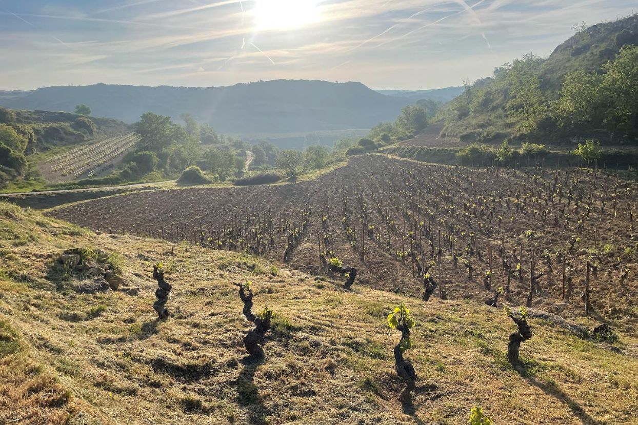 Diego_Magana_Rioja_San_Gines